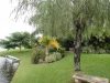 back-yard-2