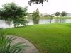 view-from-the-screened-patio